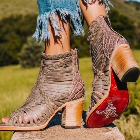 freebird by steven bela